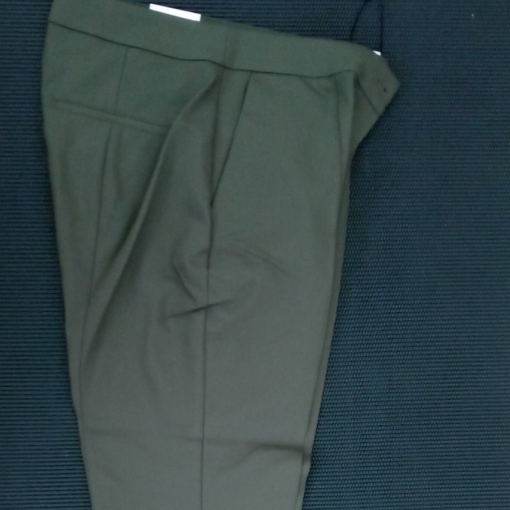 Express Dress Pants, NEW W TAGS, Size 10R
